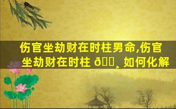 伤官坐劫财在时柱男命,伤官坐劫财在时柱 🌸 如何化解